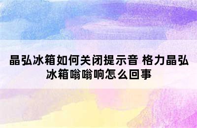 晶弘冰箱如何关闭提示音 格力晶弘冰箱嗡嗡响怎么回事